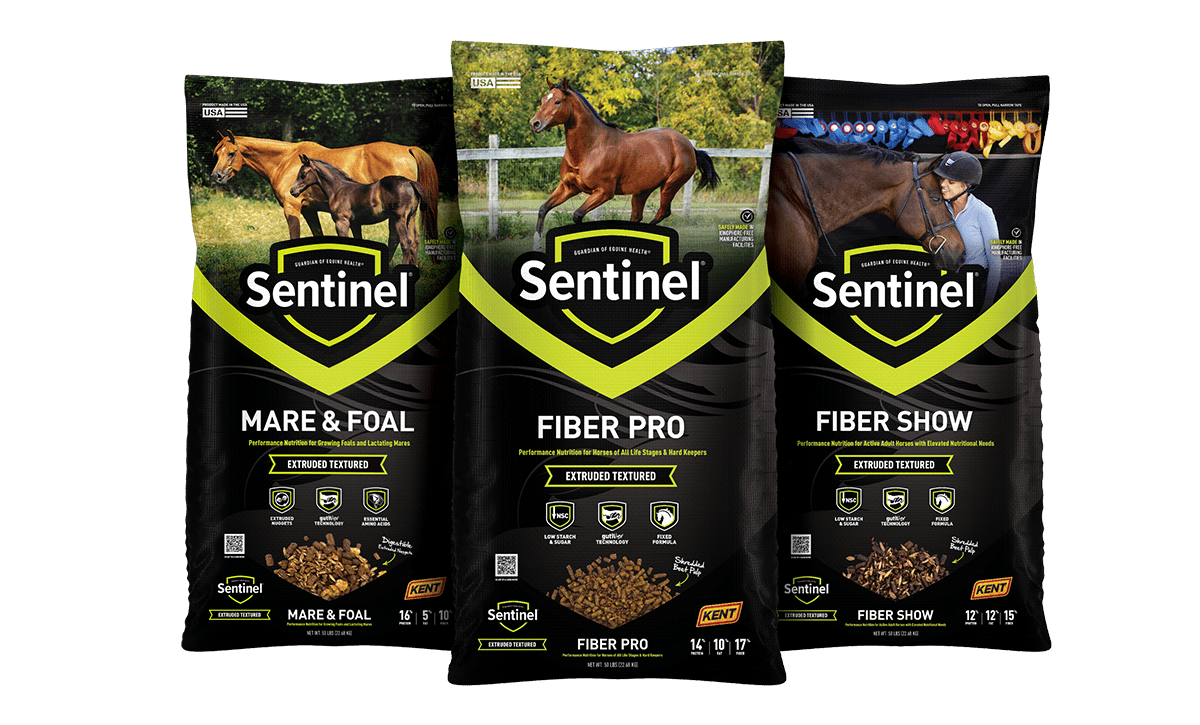 Sentinel Extruded Textured Bag Grouping