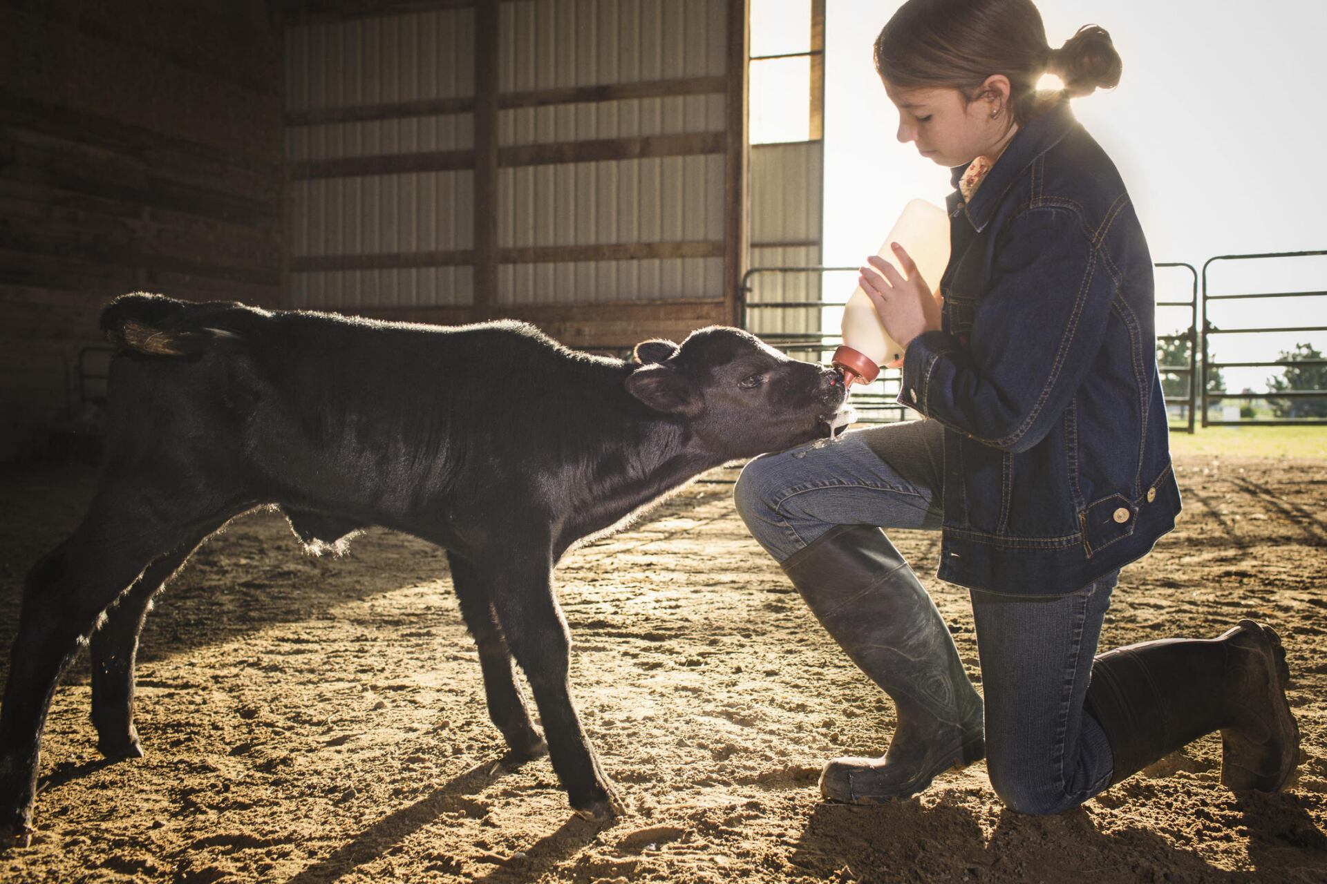 Woman feeding a calf