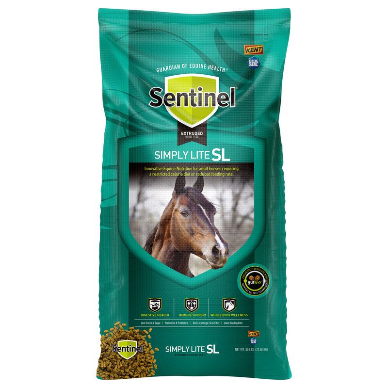 Sentinel Simply Lite