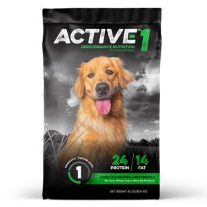 Active Level 1