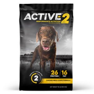 Active Level 2