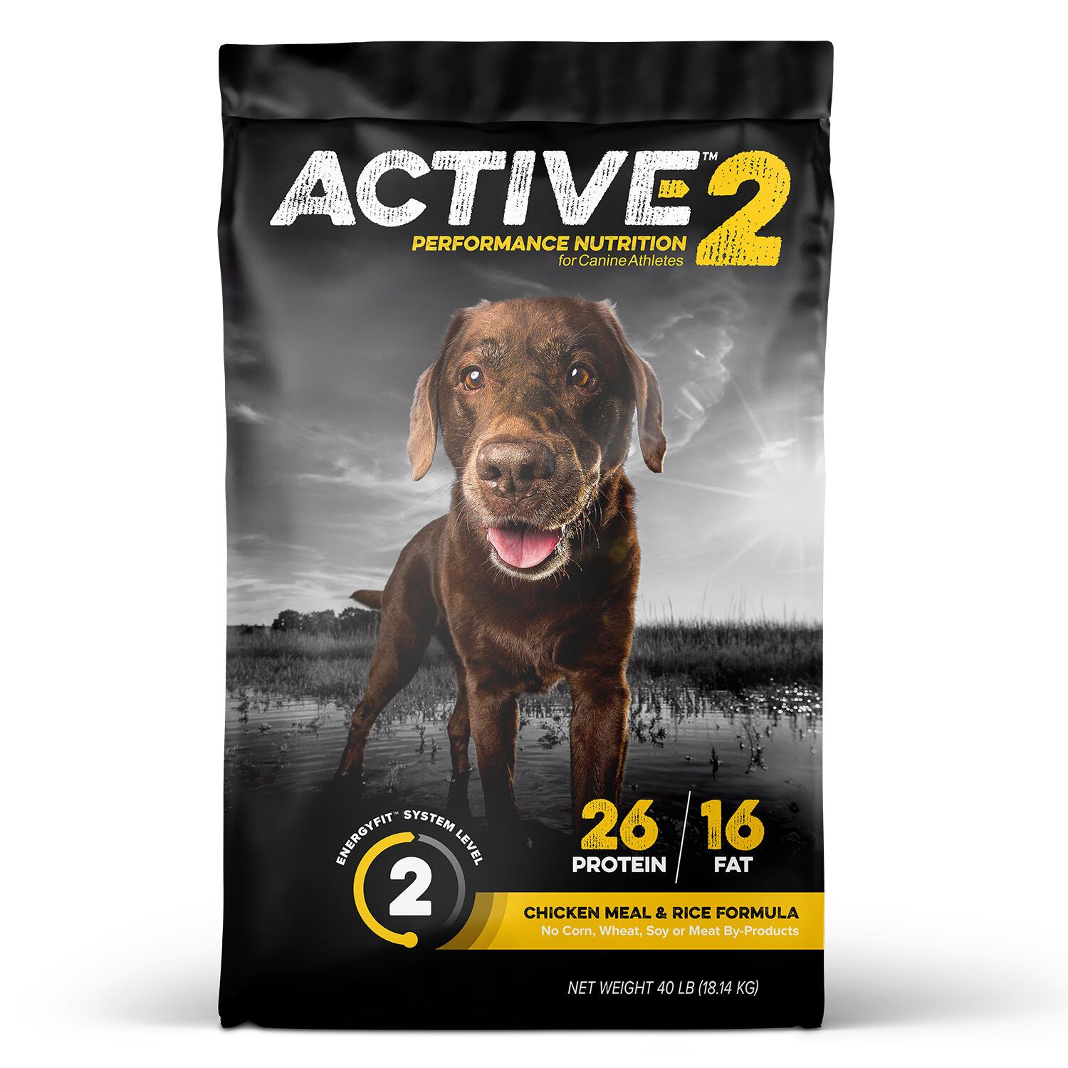 Active Level 2
