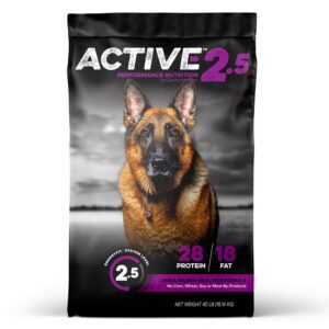 Active Level 2.5