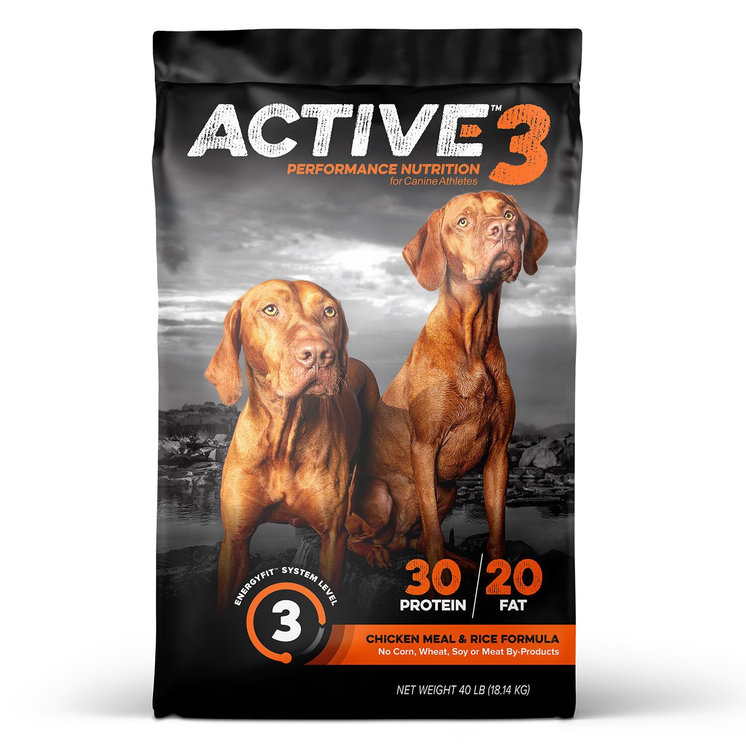 Active Level 3