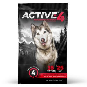 Active Level 4