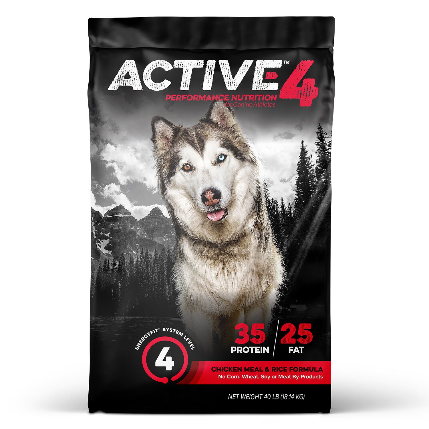 Active Level 4