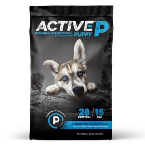 Active Puppy