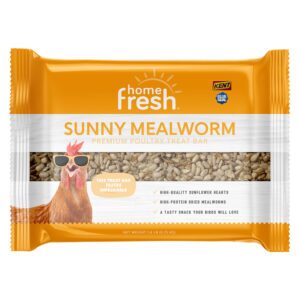 Home Fresh Sunny Mealworm Treat Bar