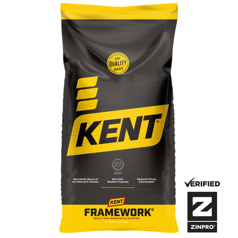 Framework 365 Mineral Performance Fescue