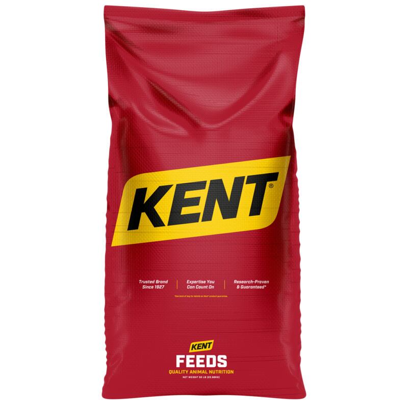 Kent Performance Primer