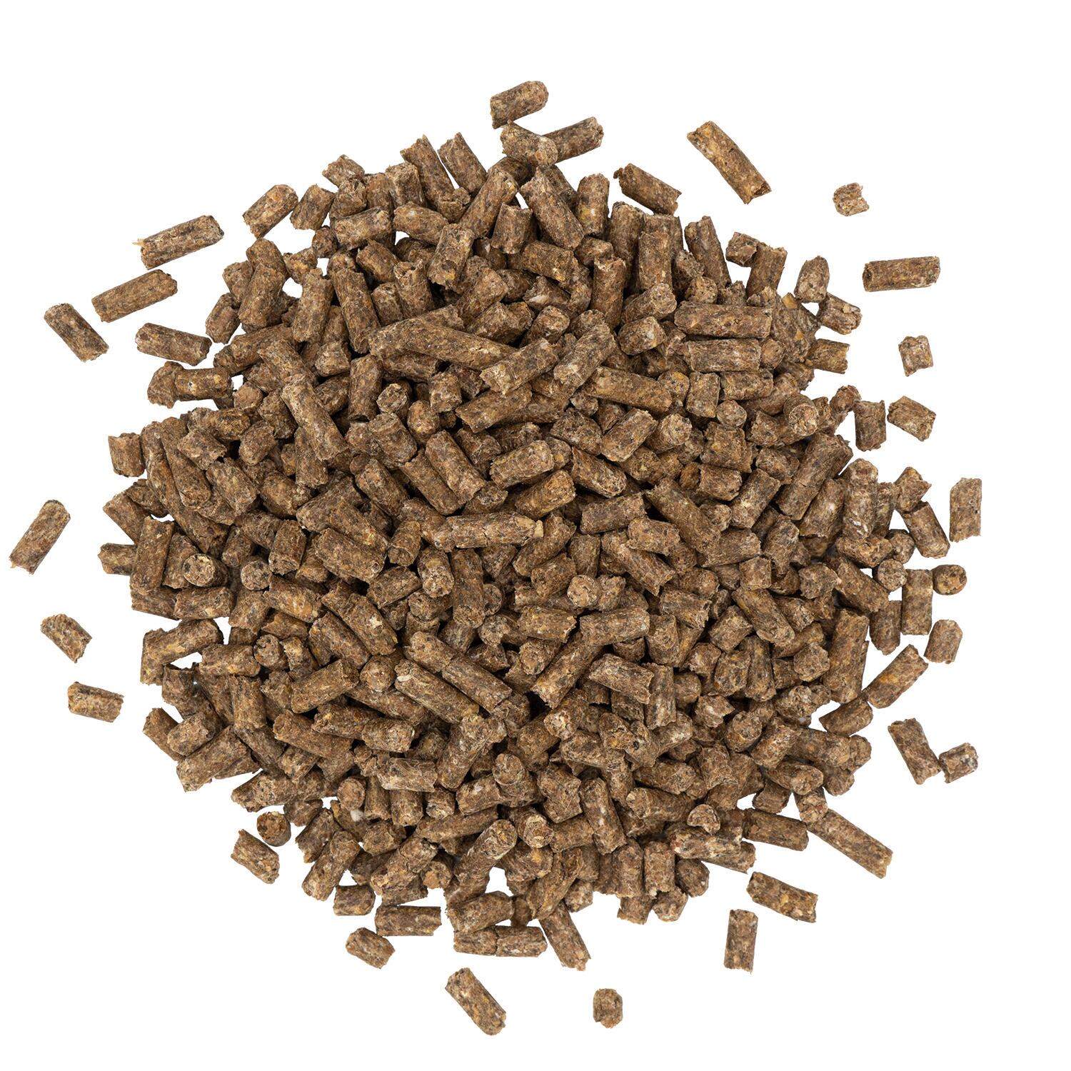 Sentinel Care Hoof Support
