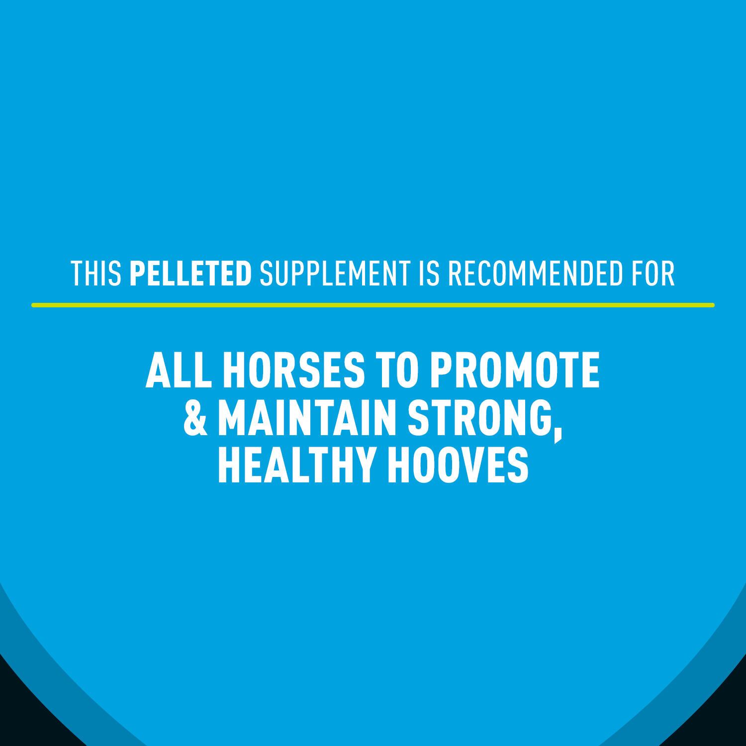 Sentinel Care Hoof Support