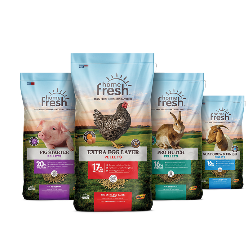 Home Fresh product grouping with Extra Egg Layer, Pig Starter, Pro Hutch and Goat Grow & Finish
