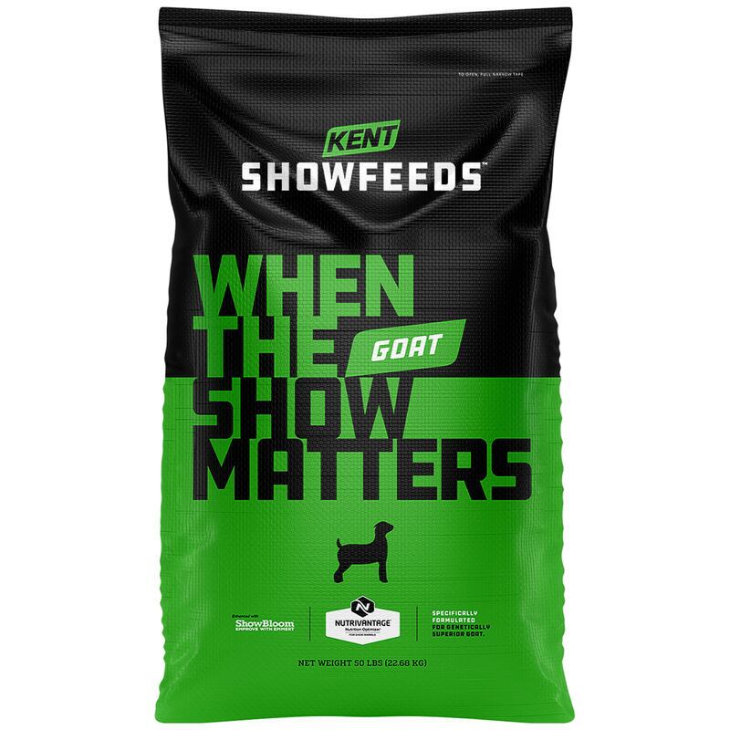 Show Goat Full Bore HE 20R